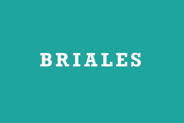 POLITICA DE LA CALIDAD | Briales SA